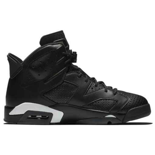 Air Jordan 6 Retro 'Black Cat' 384664-020