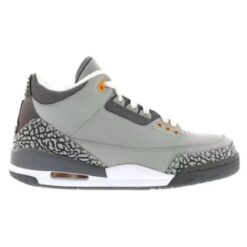 Air Jordan 3 Retro LS 'Cool Grey' 2006 315297-062