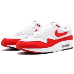 Nike Air Max 1 OG 'Anniversary' 2017 Re-Release 908375-103