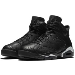 Air Jordan 6 Retro 'Black Cat' 384664-020