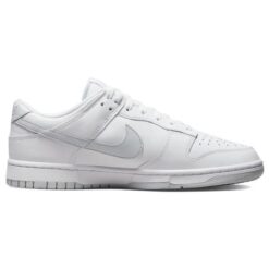 Nike Dunk Low Retro 'White Pure Platinum' DV0831-101