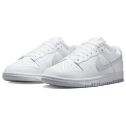 Nike Dunk Low Retro 'White Pure Platinum' DV0831-101