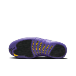 Air Jordan 12 Retro Field Purple - CT8013-057