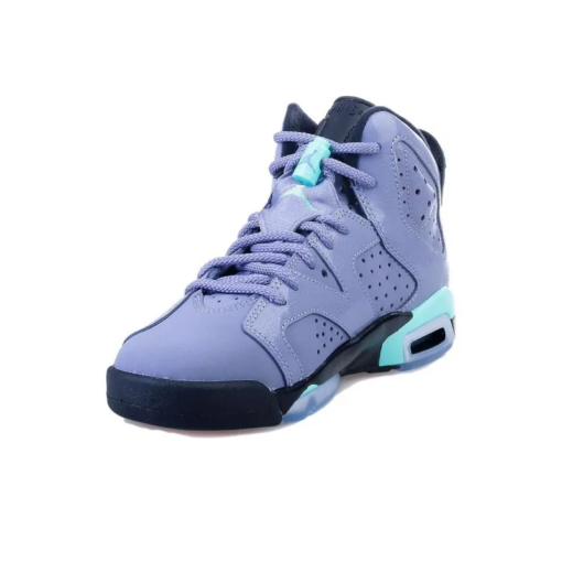 Air Jordan 6 Retro Iron Purple GS - 543390-508