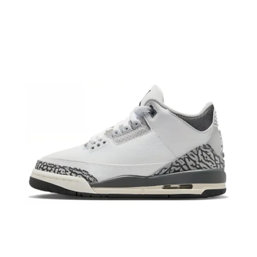 Air Jordan 3 Retro Hide N' Sneak GS - DX6665-100