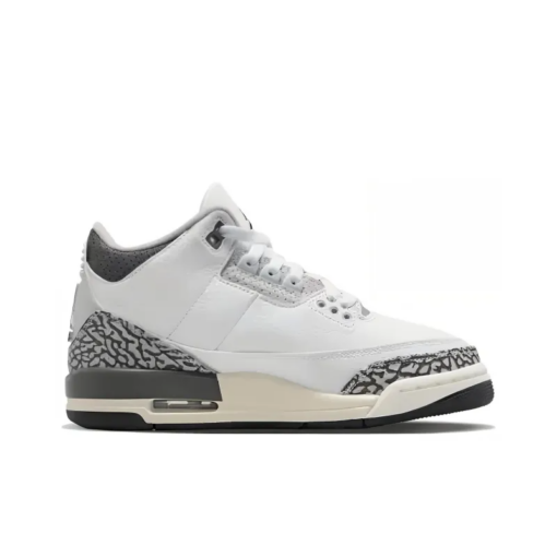 Air Jordan 3 Retro Hide N' Sneak GS - DX6665-100