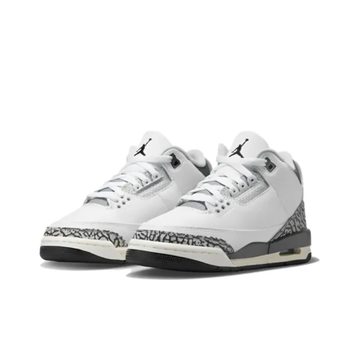 Air Jordan 3 Retro Hide N' Sneak GS - DX6665-100