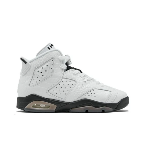 Air Jordan 6 Retro Alligator GS - 384665-110