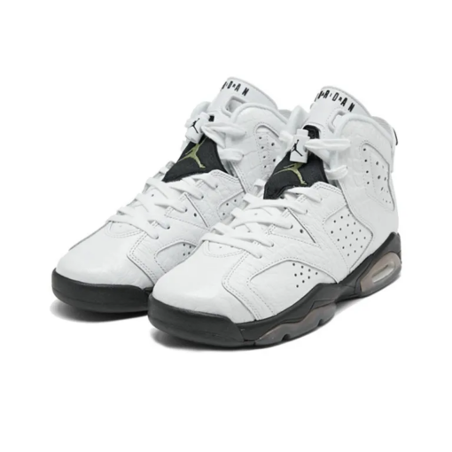 Air Jordan 6 Retro Alligator GS - 384665-110