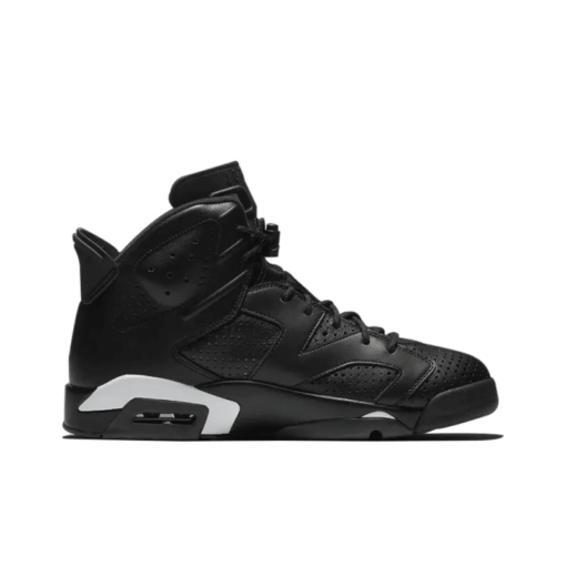 Air Jordan 6 Retro Black Cat - 384664-020