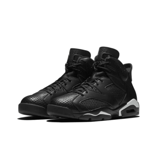 Air Jordan 6 Retro Black Cat - 384664-020