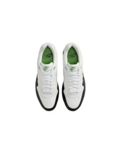 Air Max 1 'Chlorophyll' - FZ5160-121