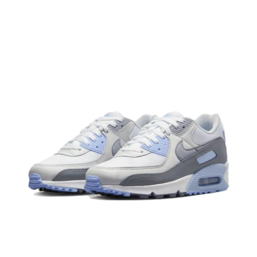 Air Max 90 White Wolf Gray Photon Dust - Fb8570-100