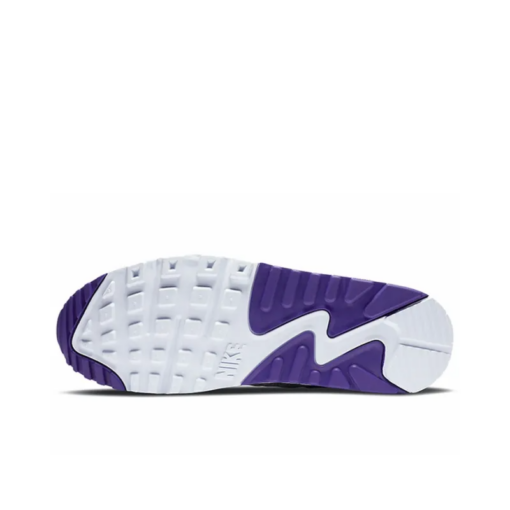 Air Max 90 Jacquard Court Purple - Ct1684-100