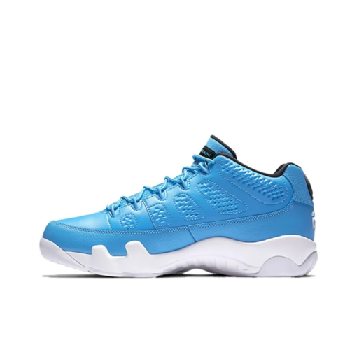 Air Jordan 9 Retro Low Pantone - 832822-401