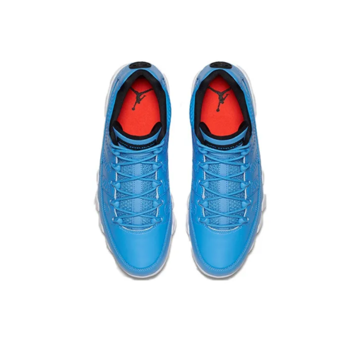 Air Jordan 9 Retro Low Pantone - 832822-401