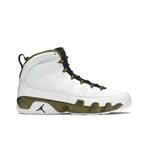 Air Jordan 9 Retro Statue - 302370-109