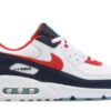 Air Max 90 'USA Denim' DJ5170-100