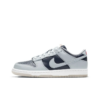 Dunk Low College Navy Grey - Dd1768-400