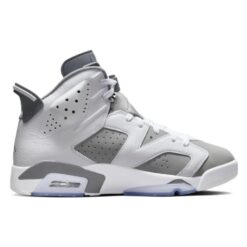 Air Jordan 6 Retro 'Cool Grey' CT8529-100