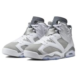 Air Jordan 6 Retro 'Cool Grey' CT8529-100