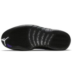 Air Jordan 12 Retro 'Dark Concord' CT8013-005