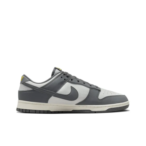 Dunk Low Next Nature Iron Grey - Fz4621-001