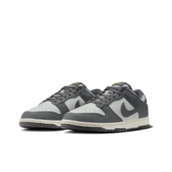 Dunk Low Next Nature Iron Grey - Fz4621-001