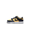 Dunk Low Michigan Ps - Cw1588-700