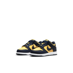 Dunk Low Michigan Ps - Cw1588-700