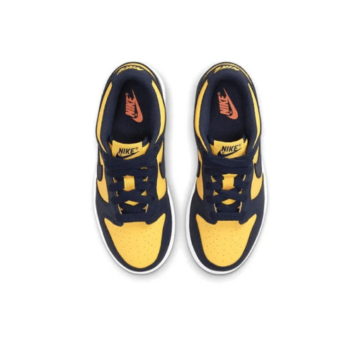 Dunk Low Michigan Ps - Cw1588-700