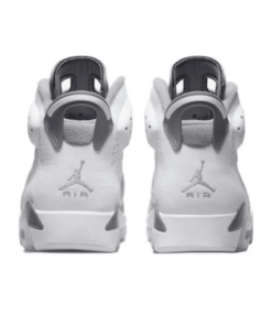 Air Jordan 6 'Cool Grey' CT8529-100