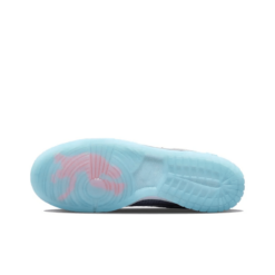 Nike Union La X Dunk Low ‘Passport Pack – Argon’ DJ9649-400