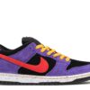 Nike Dunk Low Pro Sb 'ACG Terra' - BQ6817-008