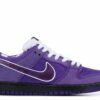 Nike Concepts x Dunk Low SB 'Purple Lobster' - BV1310-555