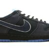 Nike Dunk SB Low Blue Lobster Signature Footwear