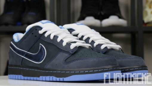 Nike Dunk SB Low Blue Lobster Signature Footwear