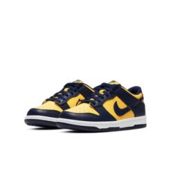 (GS) Nike Dunk Low 'Michigan' 2021 CW1590-700