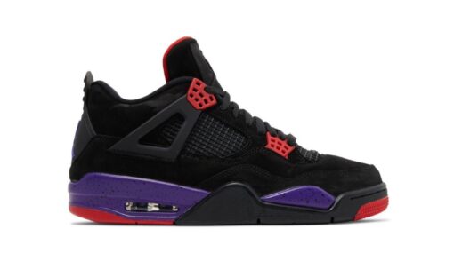 Air Jordan 4 Retro NRG 'Raptors' AQ3816-065