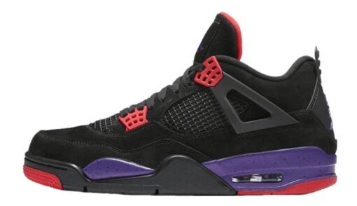 Air Jordan 4 Retro NRG 'Raptors' AQ3816-065