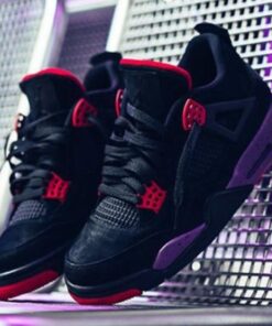 Air Jordan 4 Retro NRG 'Raptors' AQ3816-065