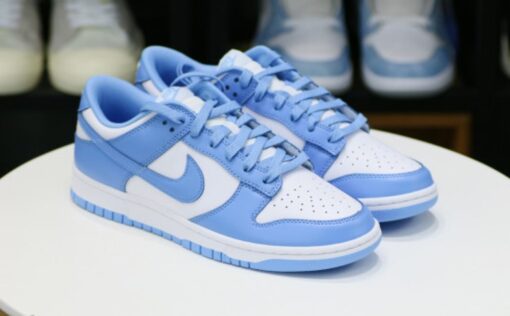 Nike Dunk Low 'University Blue' 2021 Unfading Sneaker