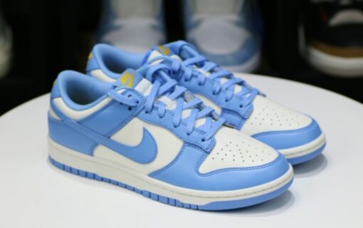 Nike Dunk Low “Coast” 2021 Unfading Sneaker