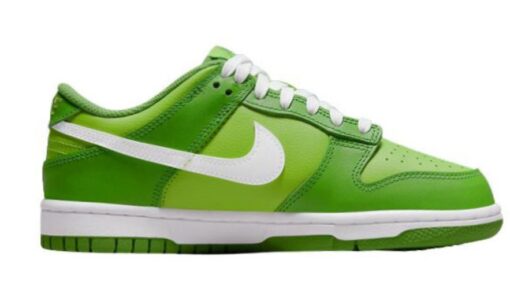 Nike DUNK LOW 'CHLOROPHYLL' Unfading Sneaker