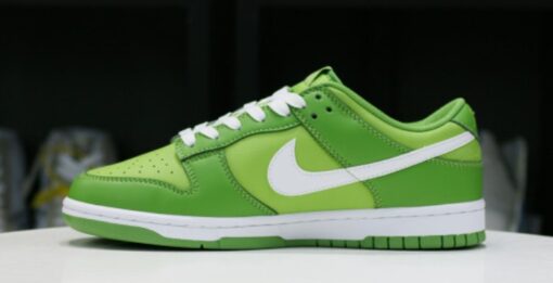 Nike DUNK LOW 'CHLOROPHYLL' Unfading Sneaker