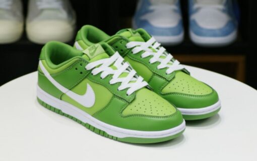 Nike DUNK LOW 'CHLOROPHYLL' Unfading Sneaker