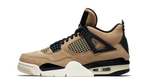 Air Jordan 4 Retro 'Mushroom' AQ9129-200