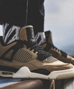 Air Jordan 4 Retro 'Mushroom' AQ9129-200