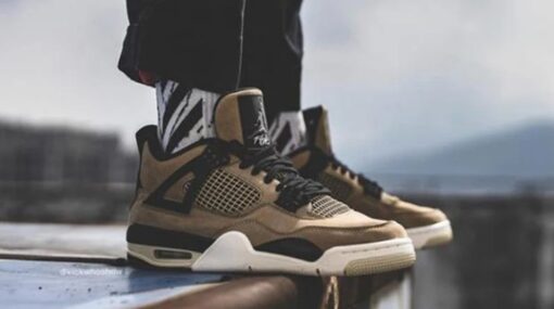 Air Jordan 4 Retro 'Mushroom' AQ9129-200