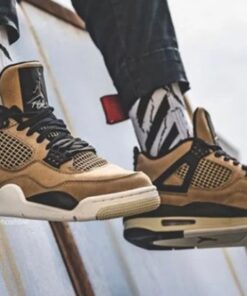 Air Jordan 4 Retro 'Mushroom' AQ9129-200